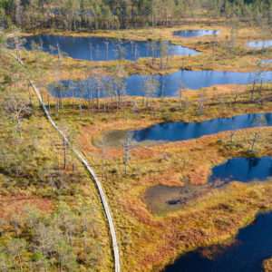 Climate change services provided by estuaries and estuarine ecosystems and quantification tools
